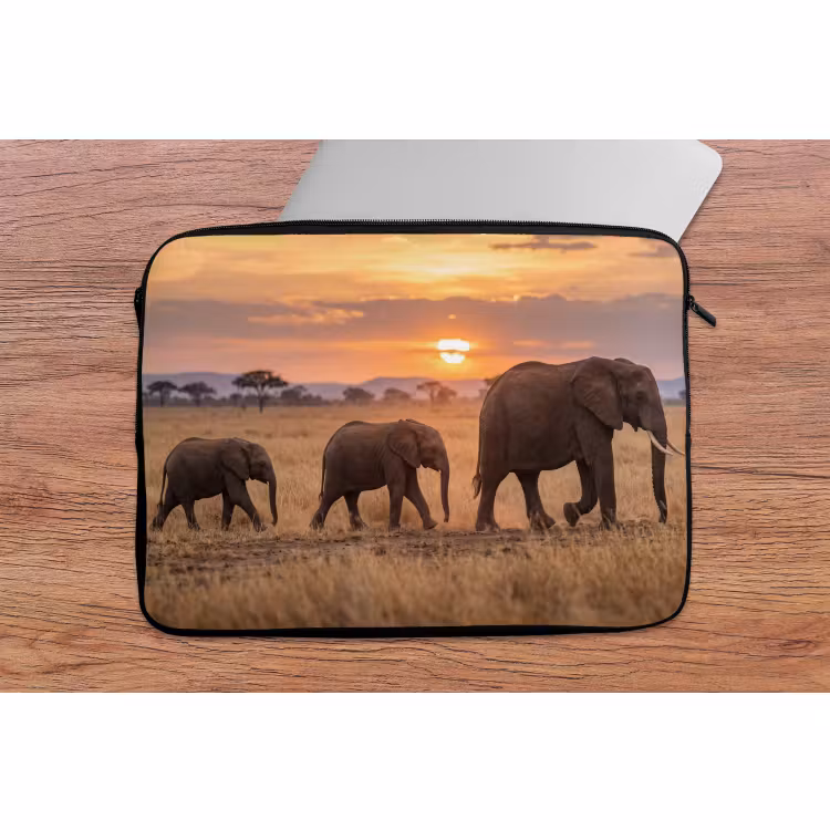Laptophoes - Olifanten - Savanne - Zonsondergang - Afrika - Warm — 2
