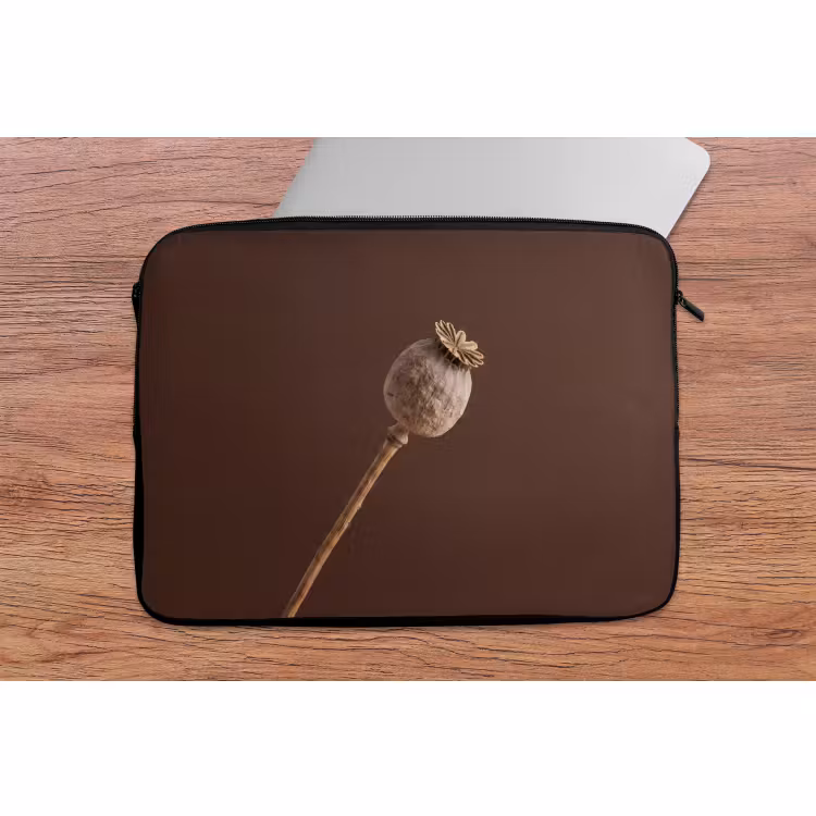 Laptophoes - Papaverbol - Droogbloem - Bruin - Minimalistisch — 2