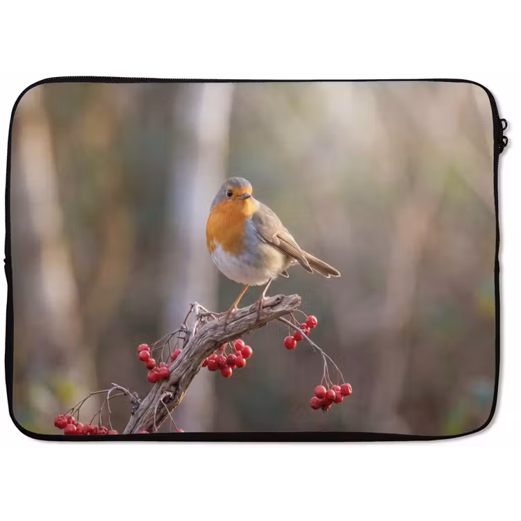 Laptophoes - Roodborst - Tak - Bessen - Natuur — 1