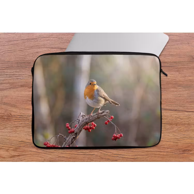 Laptophoes - Roodborst - Tak - Bessen - Natuur — 2