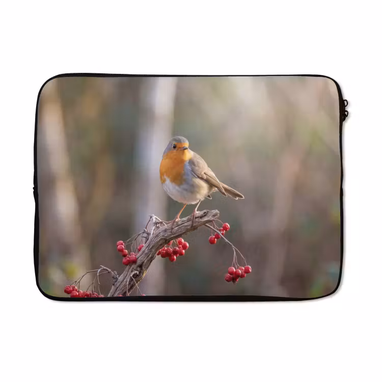 Laptophoes - Roodborst - Tak - Bessen - Natuur — 5