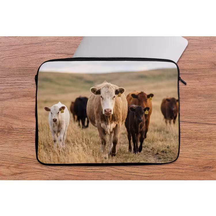Laptophoes - Runderen - Kudde - Landschap - Weide - Rustig — 2