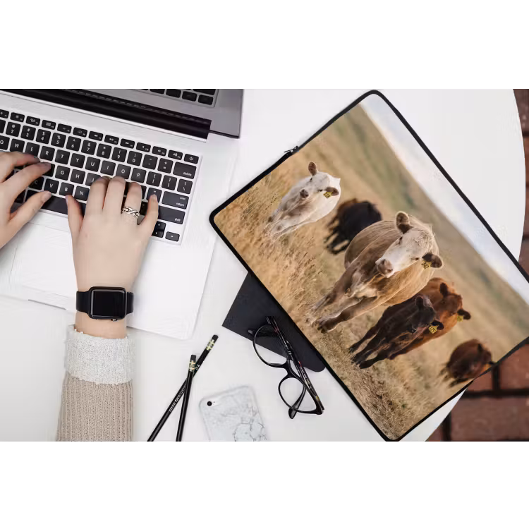 Laptophoes - Runderen - Kudde - Landschap - Weide - Rustig — 3