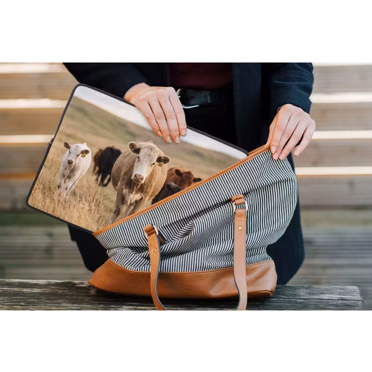 Laptophoes - Runderen - Kudde - Landschap - Weide - Rustig — 4