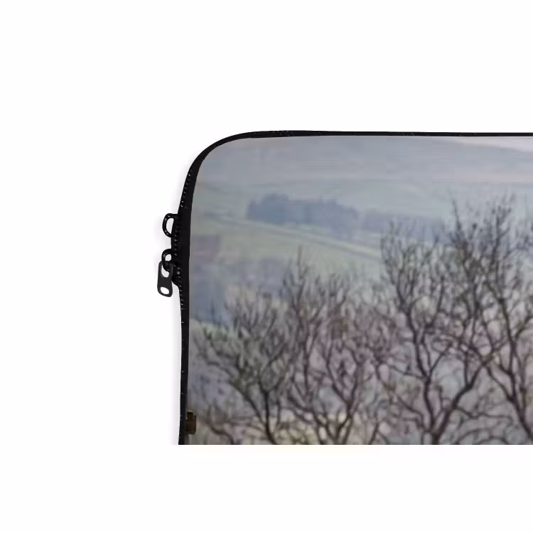Laptophoes - Schapen - Rij - Weide - Dieren - Platteland — 6