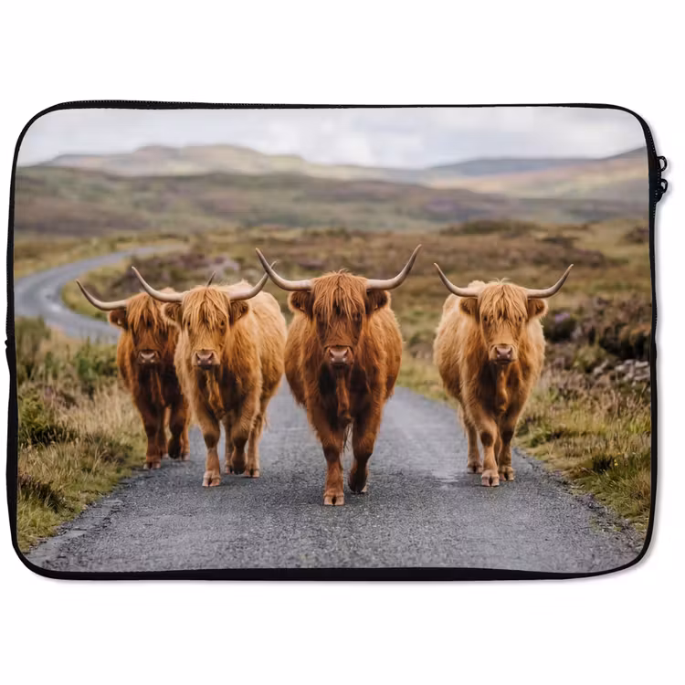Laptophoes - Schotse Hooglanders - Weg - Landschap - Kudde — 1