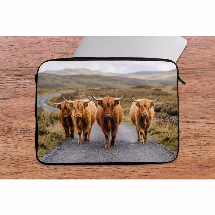 Laptophoes - Schotse Hooglanders - Weg - Landschap - Kudde — 2