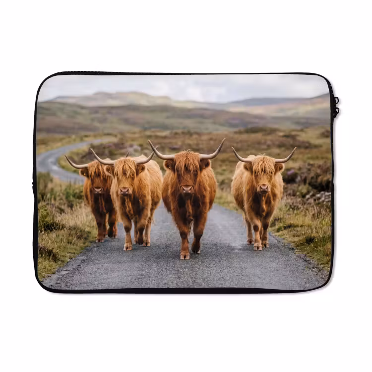 Laptophoes - Schotse Hooglanders - Weg - Landschap - Kudde — 5