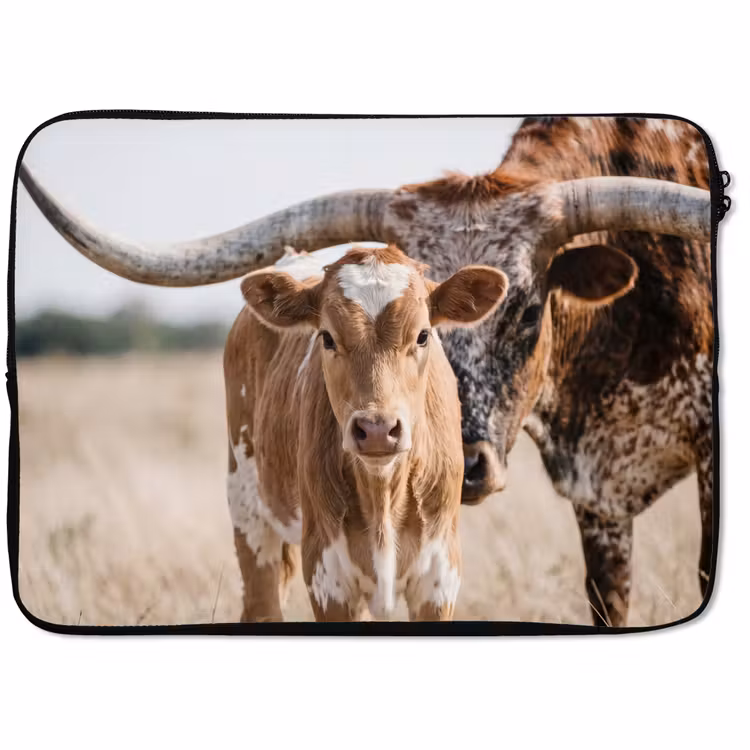 Laptophoes - Texas Longhorn - Kalf - Weide - Dieren — 1