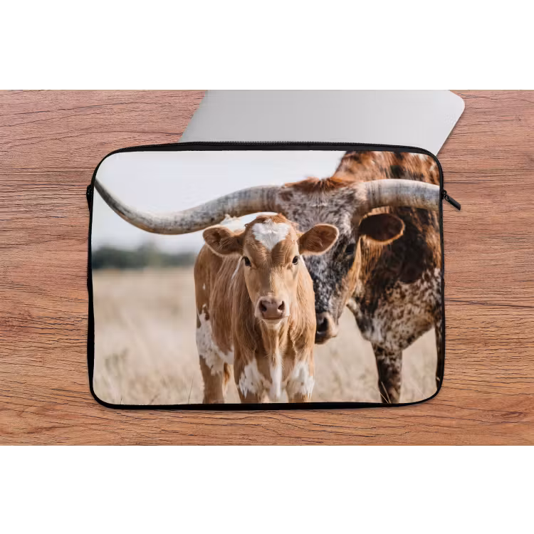 Laptophoes - Texas Longhorn - Kalf - Weide - Dieren — 2