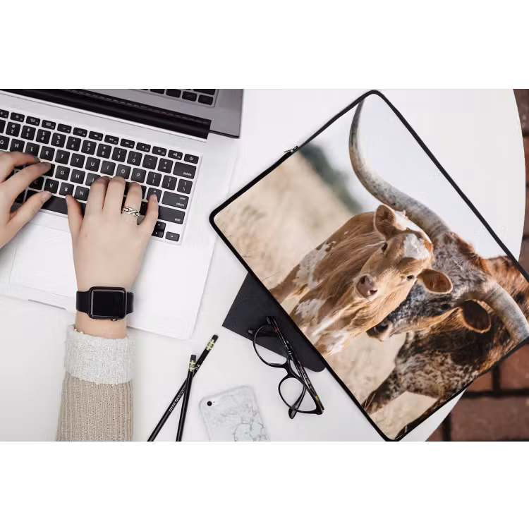 Laptophoes - Texas Longhorn - Kalf - Weide - Dieren — 3