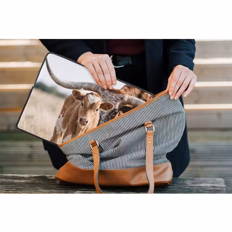 Laptophoes - Texas Longhorn - Kalf - Weide - Dieren — 4