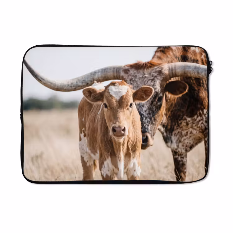 Laptophoes - Texas Longhorn - Kalf - Weide - Dieren — 5