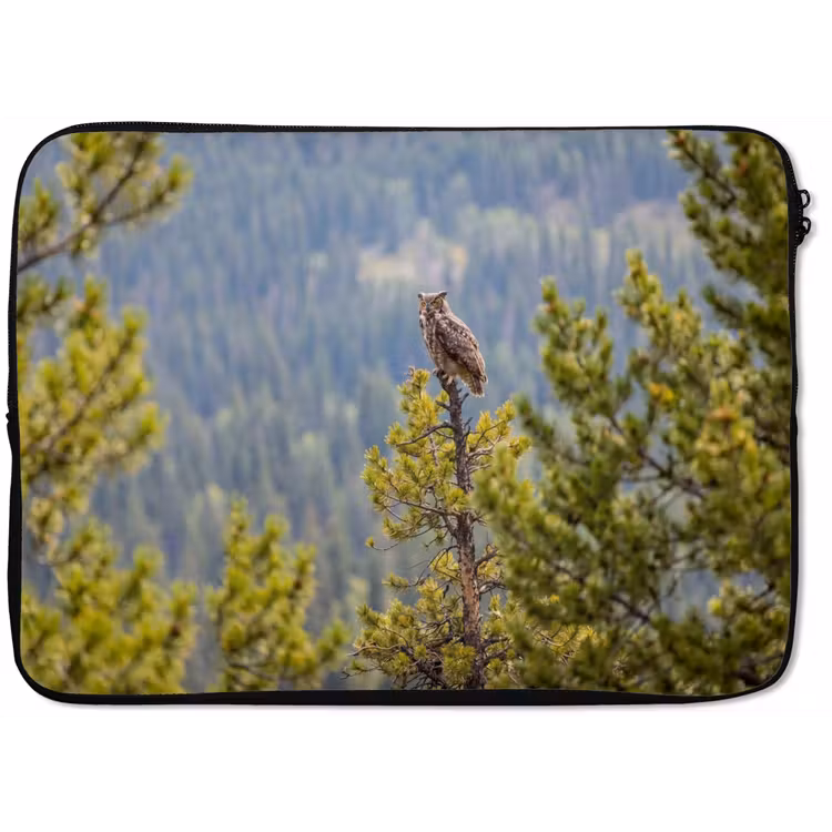 Laptophoes - Uil - Oehoe - Bomen - Natuur — 1
