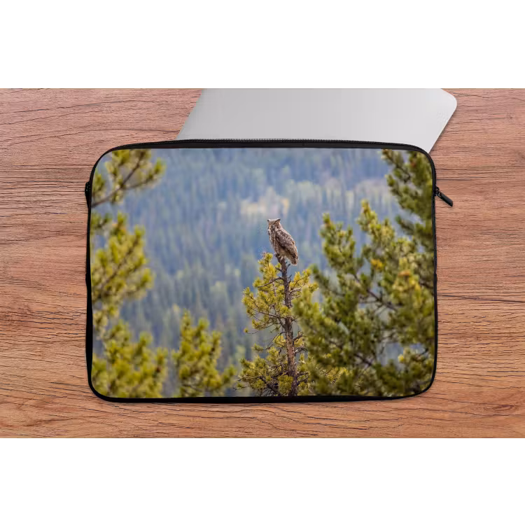 Laptophoes - Uil - Oehoe - Bomen - Natuur — 2