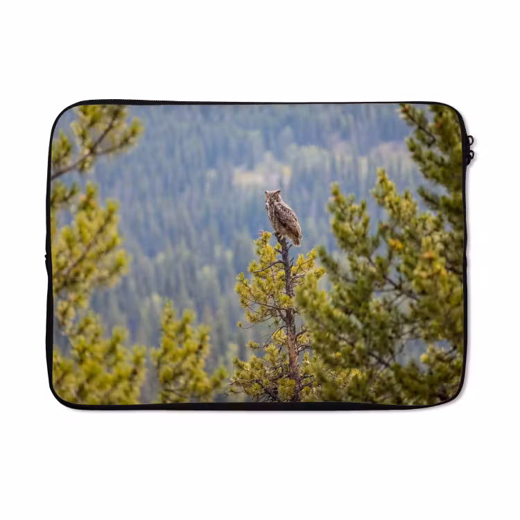 Laptophoes - Uil - Oehoe - Bomen - Natuur — 5