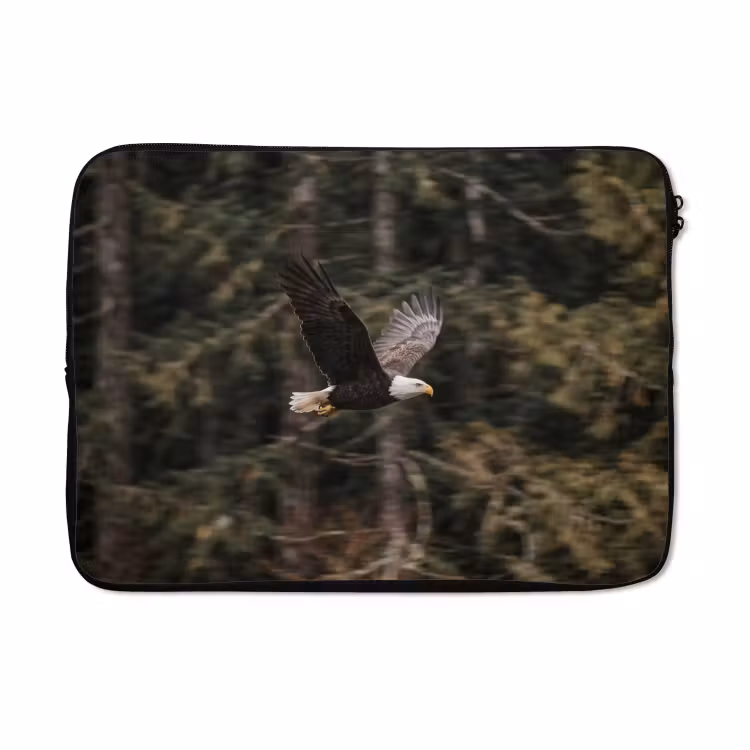 Laptophoes - Zeearend - Vliegen - Bos - Natuur — 5