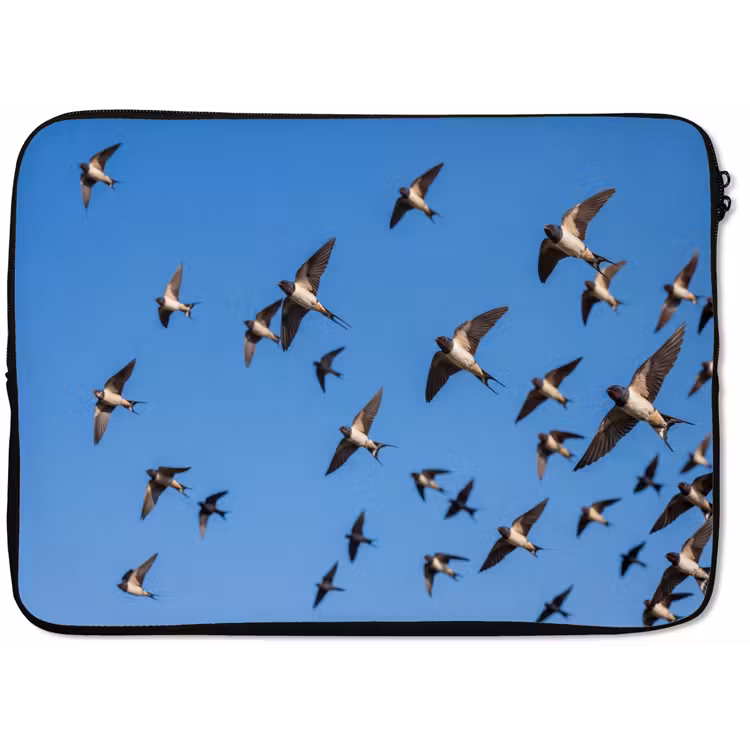 Laptophoes - Zwaluwen - Vliegen - Blauw — 1