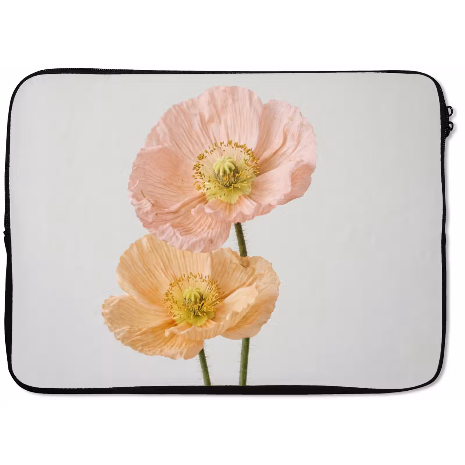 Laptophoes - Papavers - Botanisch - Roze — 1