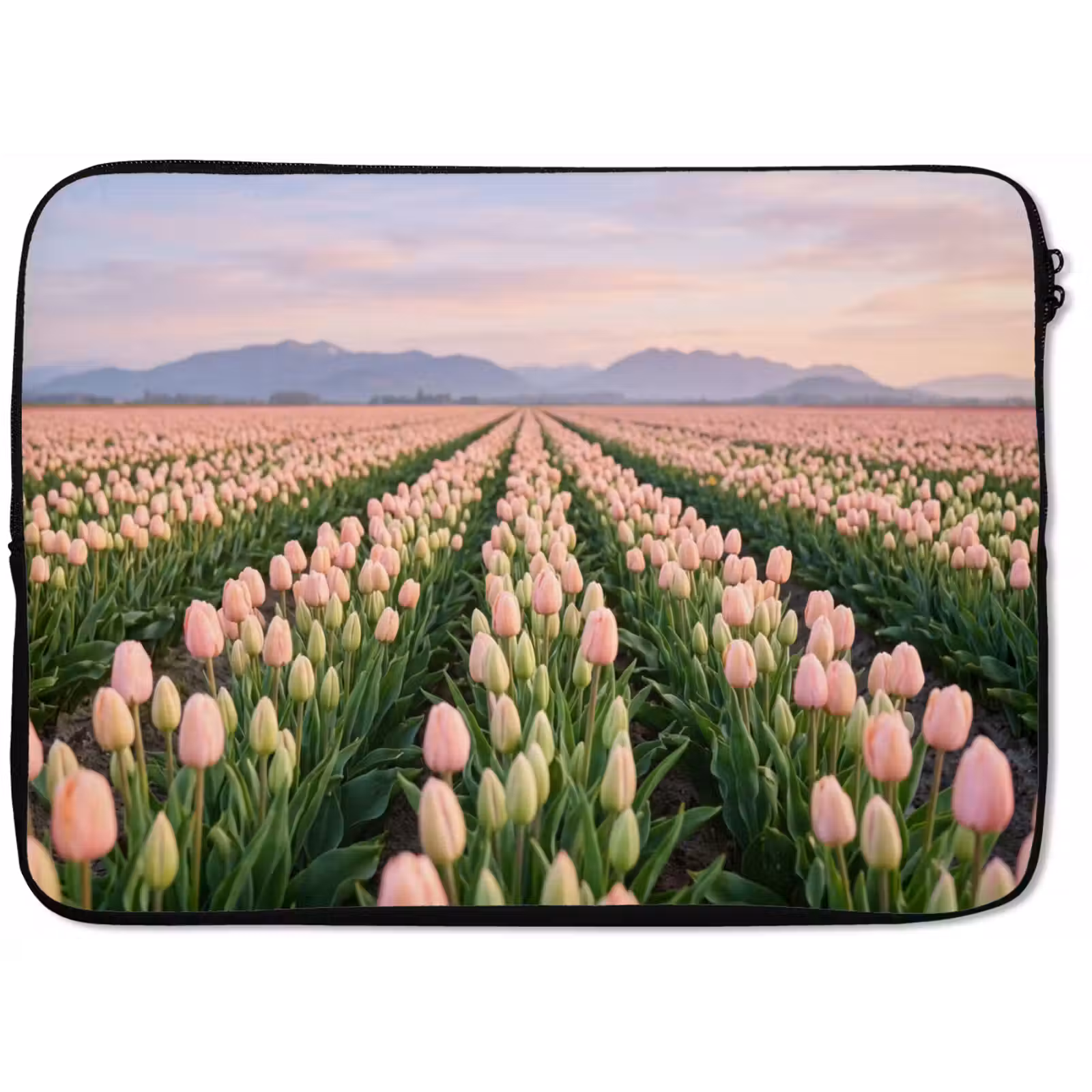 Laptophoes - Tulpen - Landschap - Roze — 1
