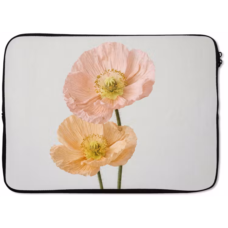Laptophoes - Papavers - Botanisch - Roze — 1