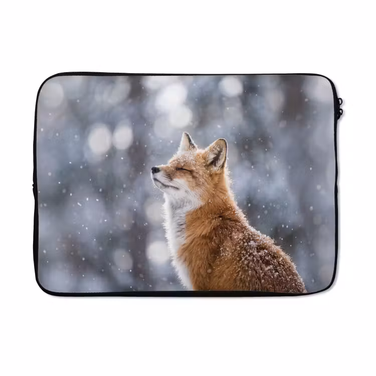 Laptophoes - Vos - Sneeuwval - Portret - Winter - Sfeervol — 5