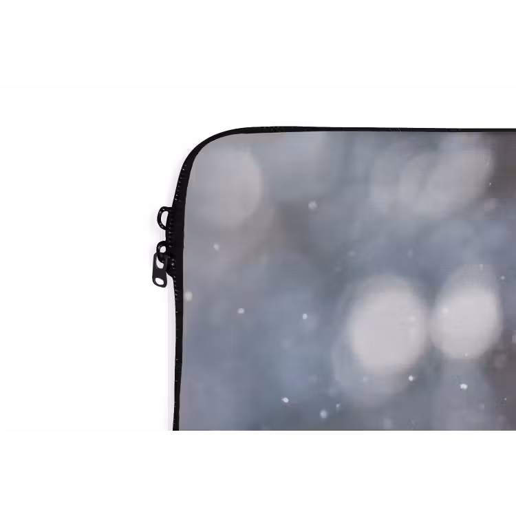 Laptophoes - Vos - Sneeuwval - Portret - Winter - Sfeervol — 6