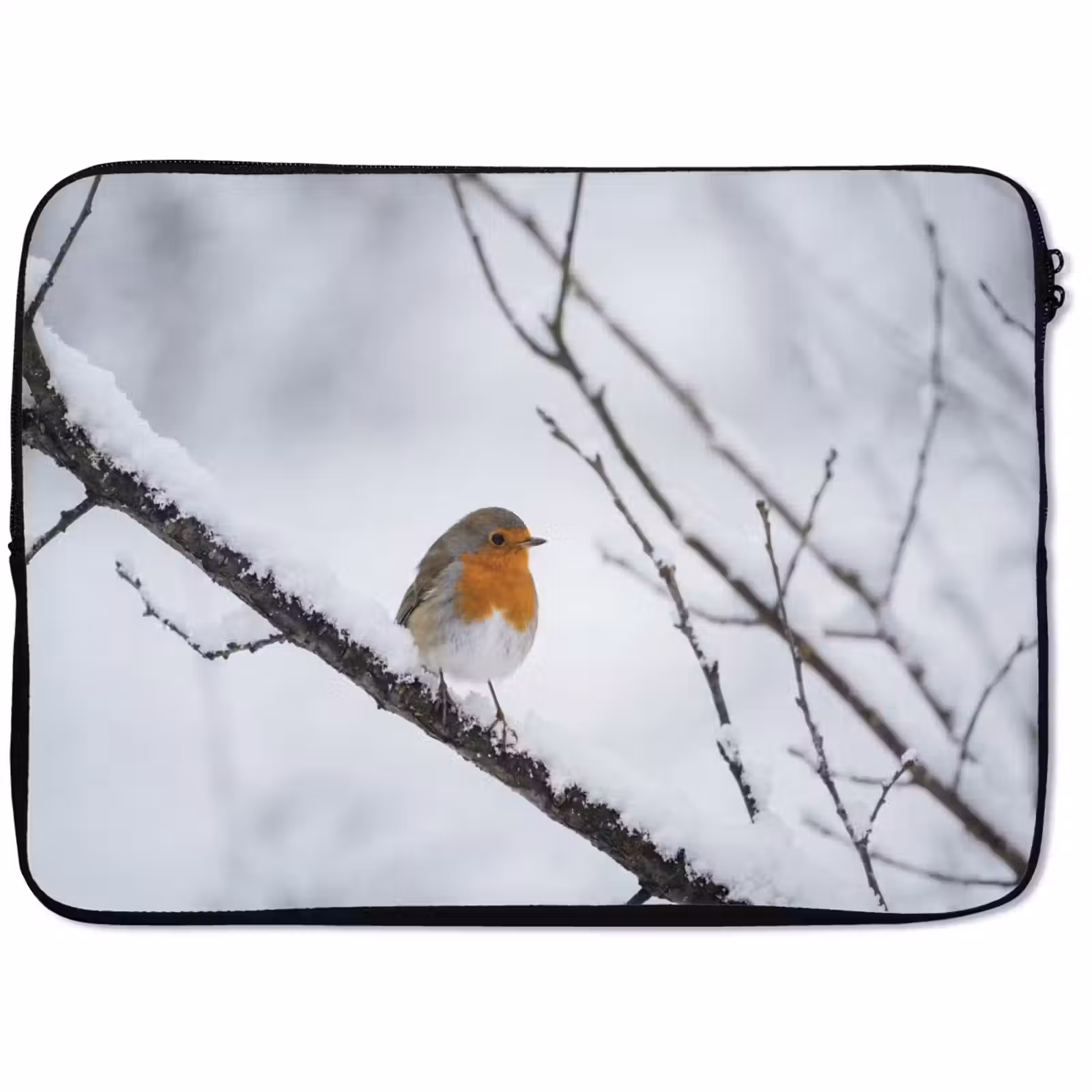 Laptophoes - Roodborstje - Tak - Sneeuw - Winter - Levendig — 1