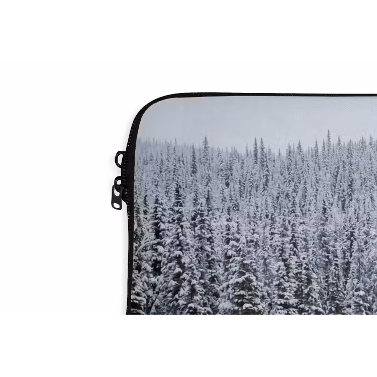 Laptophoes - Bos - Reflectie - Meer - Winter - Serene — 6