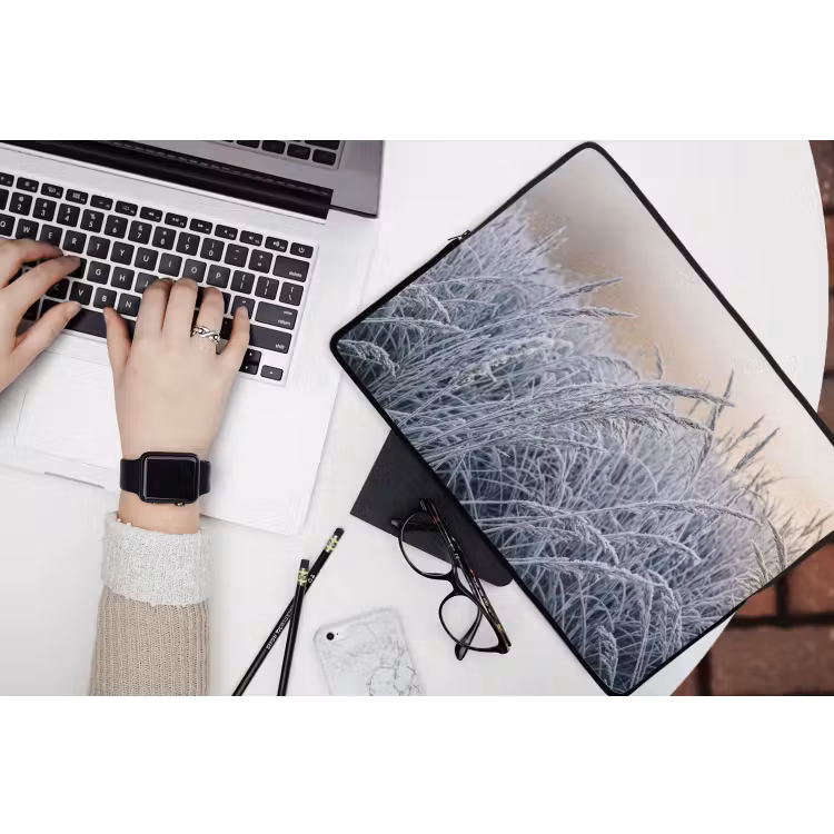 Laptophoes - Rijp - Gras - Kristallen - Winter - Minimalistisch — 3