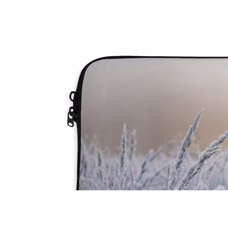 Laptophoes - Rijp - Gras - Kristallen - Winter - Minimalistisch — 6