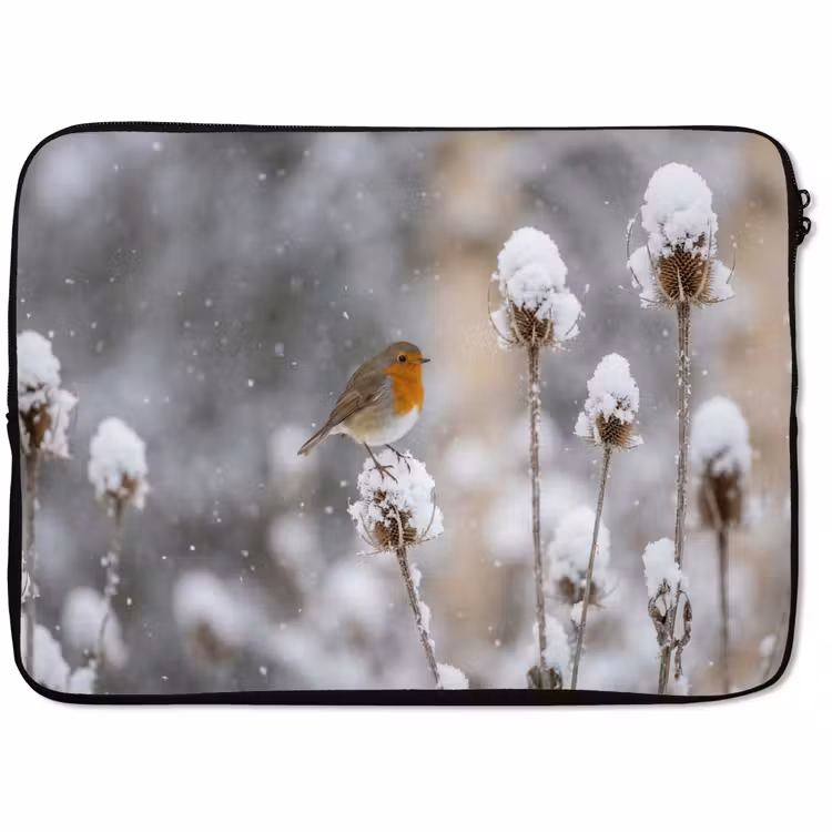 Laptophoes - Roodborstje - Gedroogde bloem - Sneeuw - Winter - Vertederend — 1