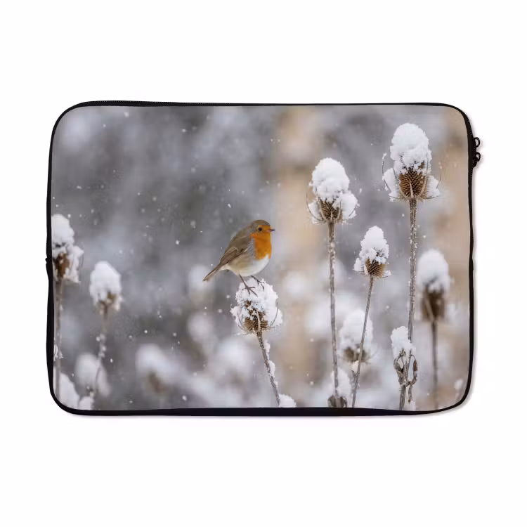 Laptophoes - Roodborstje - Gedroogde bloem - Sneeuw - Winter - Vertederend — 5