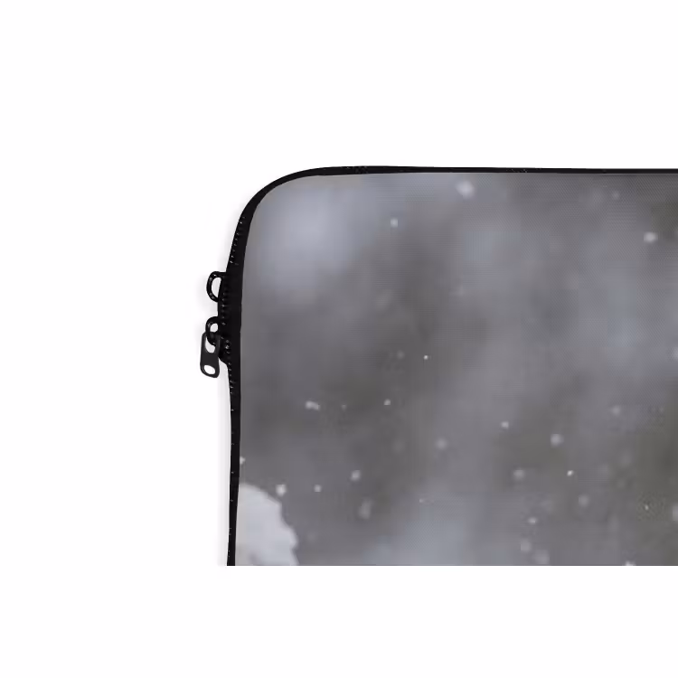 Laptophoes - Roodborstje - Gedroogde bloem - Sneeuw - Winter - Vertederend — 6