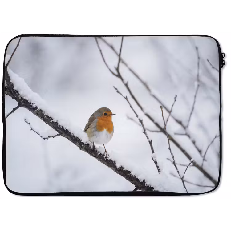 Laptophoes - Roodborstje - Tak - Sneeuw - Winter - Levendig — 1