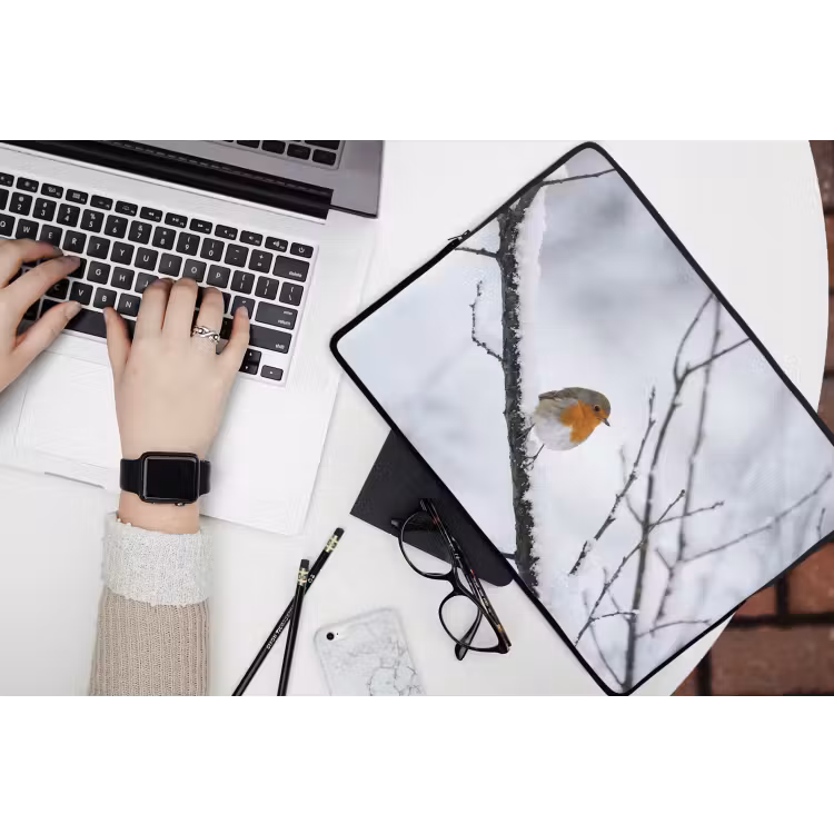 Laptophoes - Roodborstje - Tak - Sneeuw - Winter - Levendig — 3