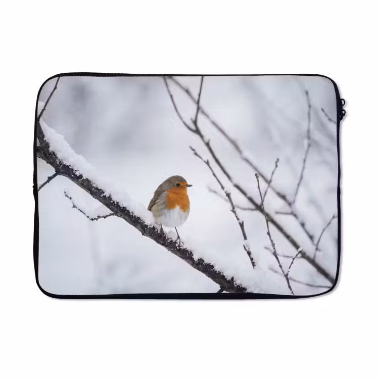 Laptophoes - Roodborstje - Tak - Sneeuw - Winter - Levendig — 5
