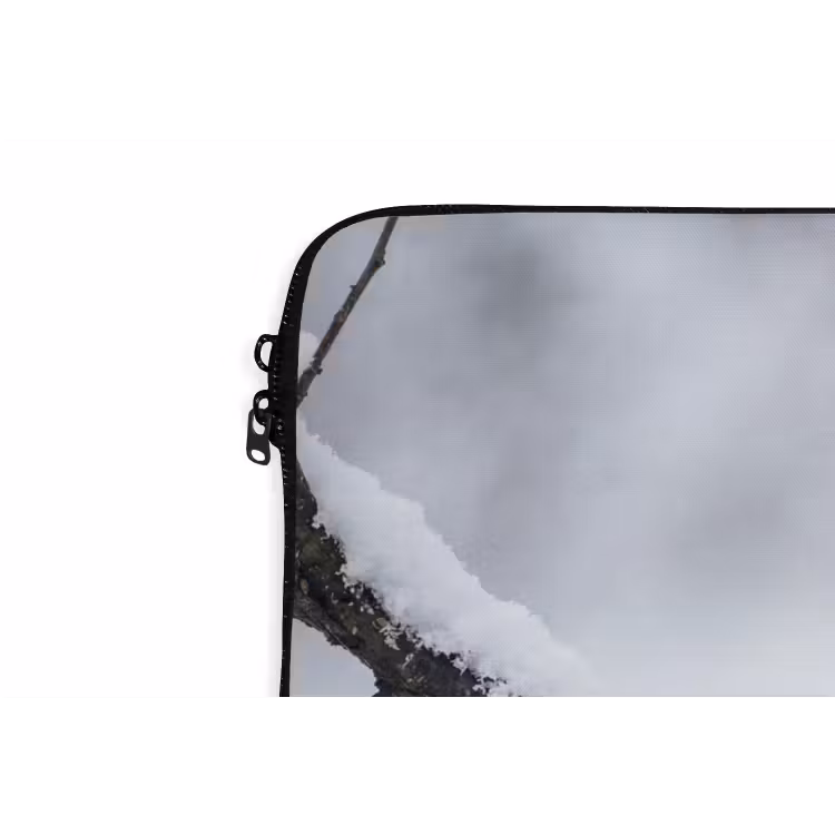 Laptophoes - Roodborstje - Tak - Sneeuw - Winter - Levendig — 6