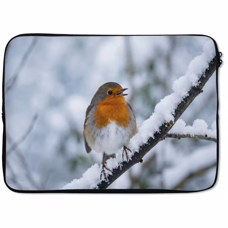 Laptophoes - Roodborstje - Tak - Sneeuw - Winter - Levendig — 1