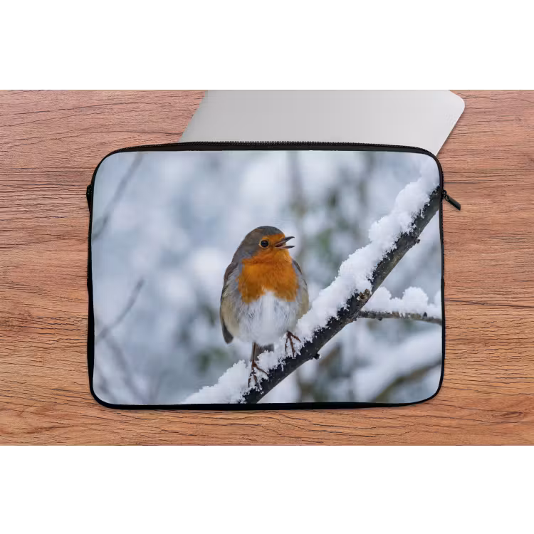 Laptophoes - Roodborstje - Tak - Sneeuw - Winter - Levendig — 2