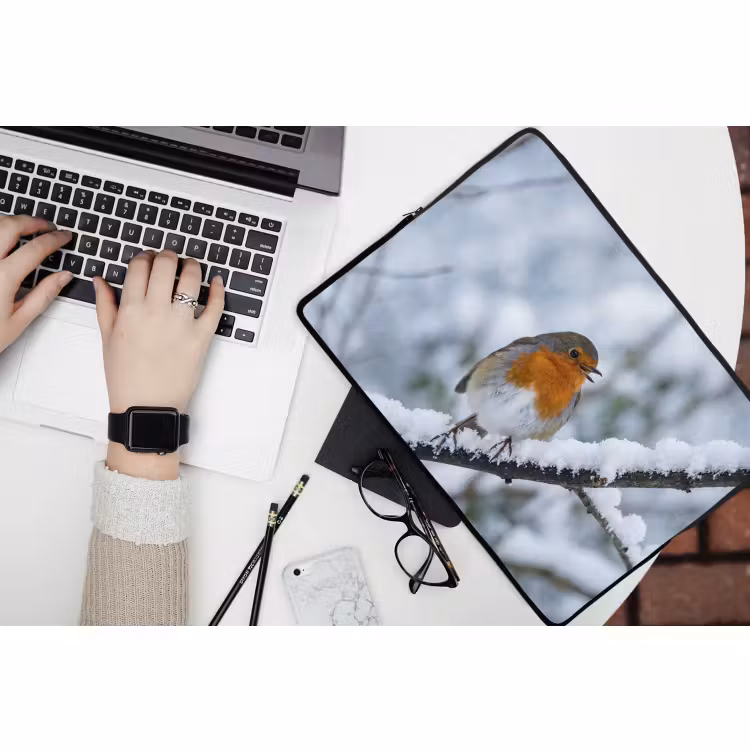 Laptophoes - Roodborstje - Tak - Sneeuw - Winter - Levendig — 3
