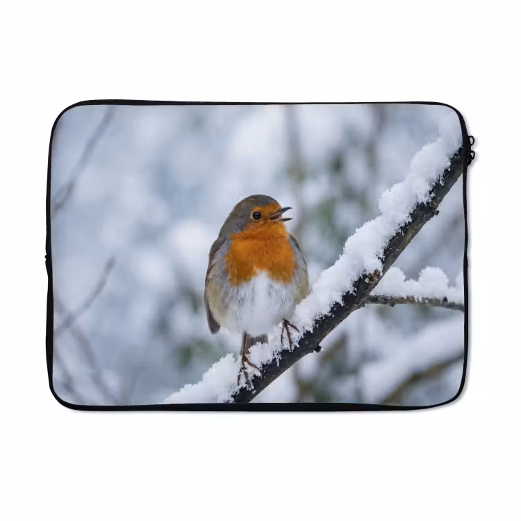 Laptophoes - Roodborstje - Tak - Sneeuw - Winter - Levendig — 5