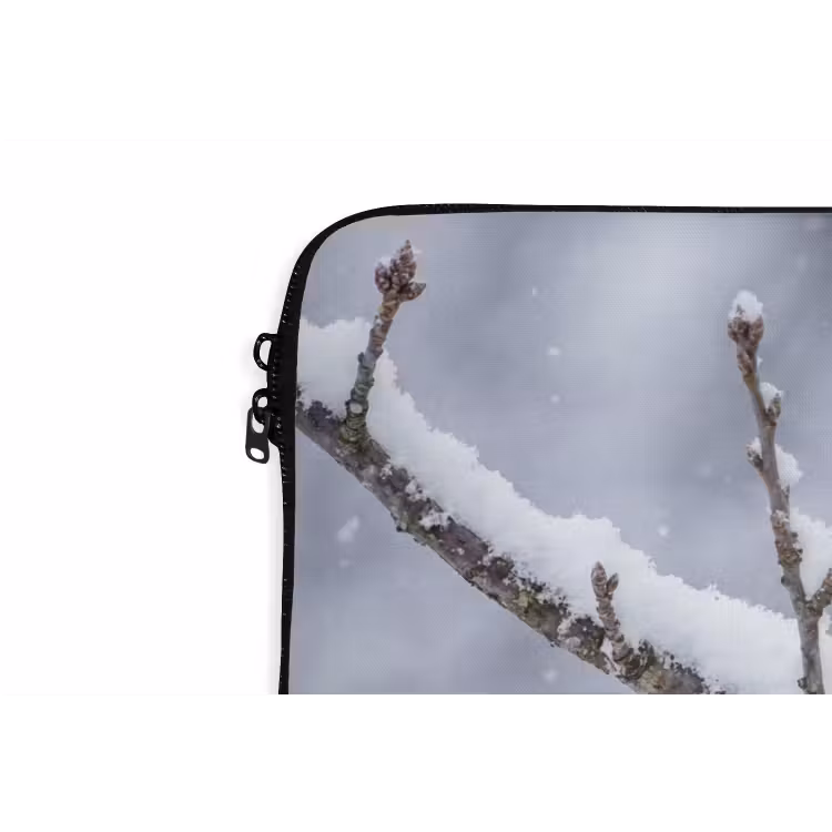 Laptophoes - Vogel - Tak - Sneeuw - Winter — 6