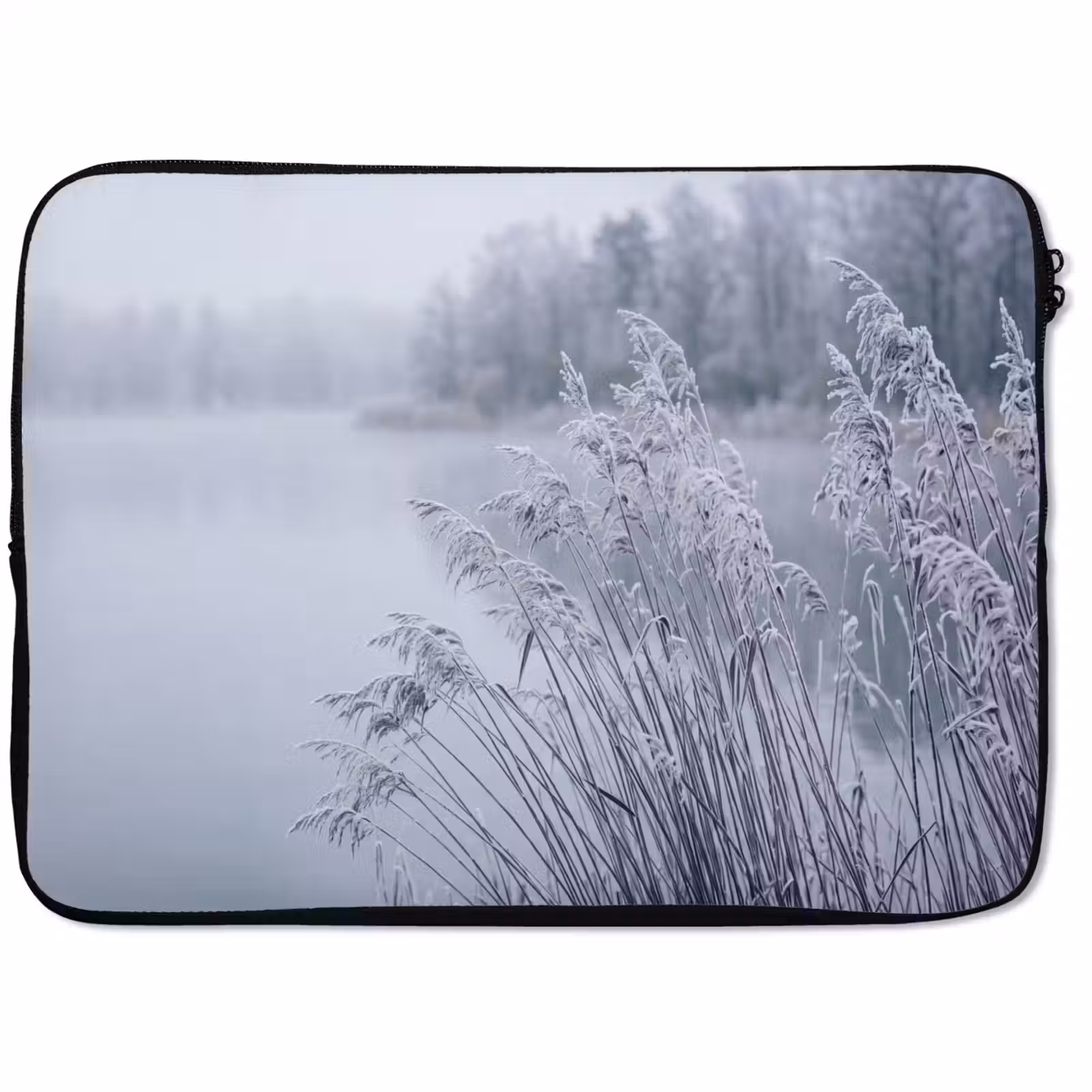 Laptophoes - Riet - Bevroren - Winter - Natuur — 1