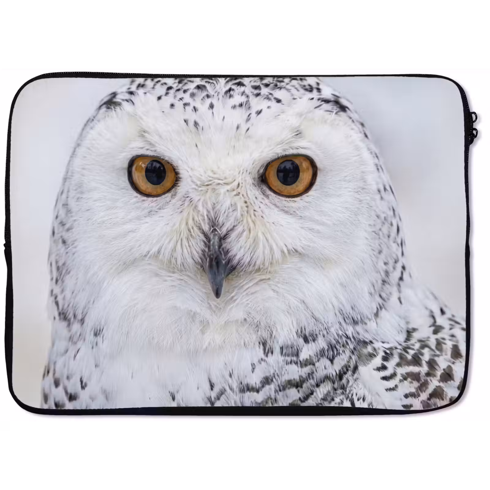 Laptophoes - Sneeuwuil - Oog - Wildlife - Wit — 1