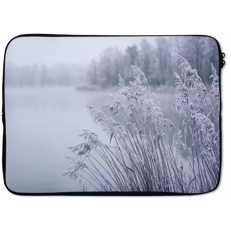 Laptophoes - Riet - Bevroren - Winter - Natuur — 1