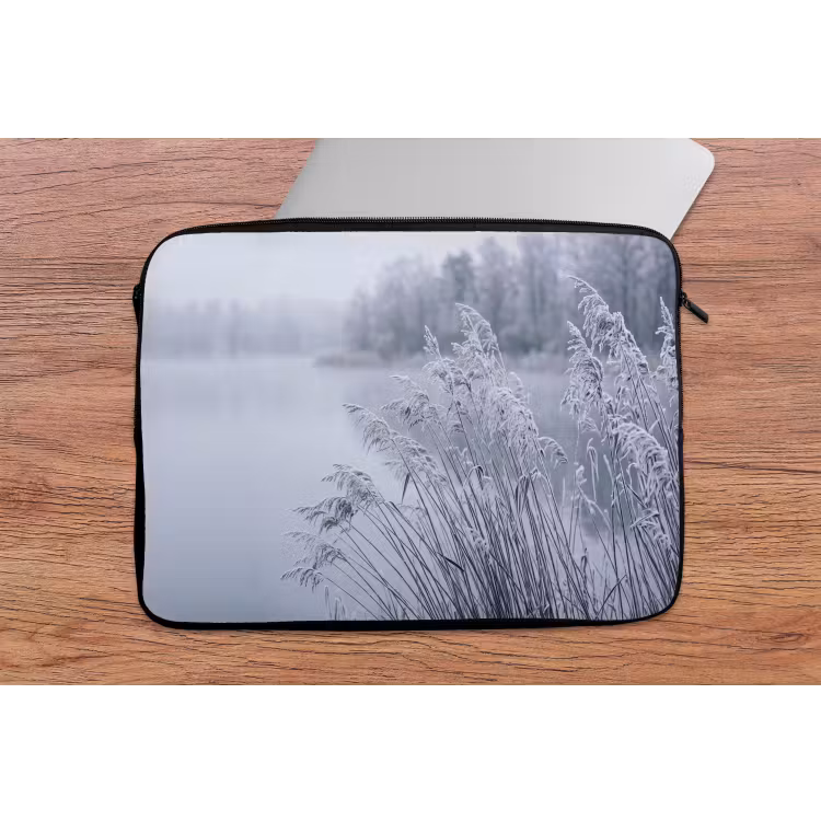 Laptophoes - Riet - Bevroren - Winter - Natuur — 2