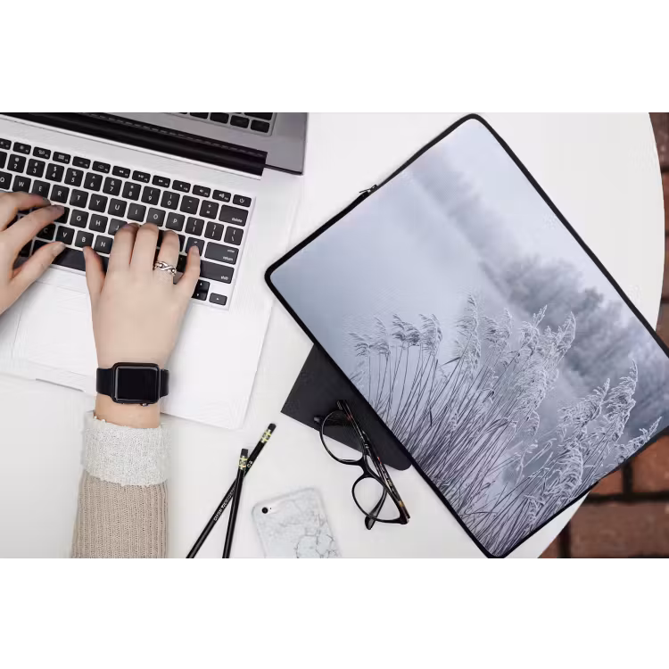 Laptophoes - Riet - Bevroren - Winter - Natuur — 3