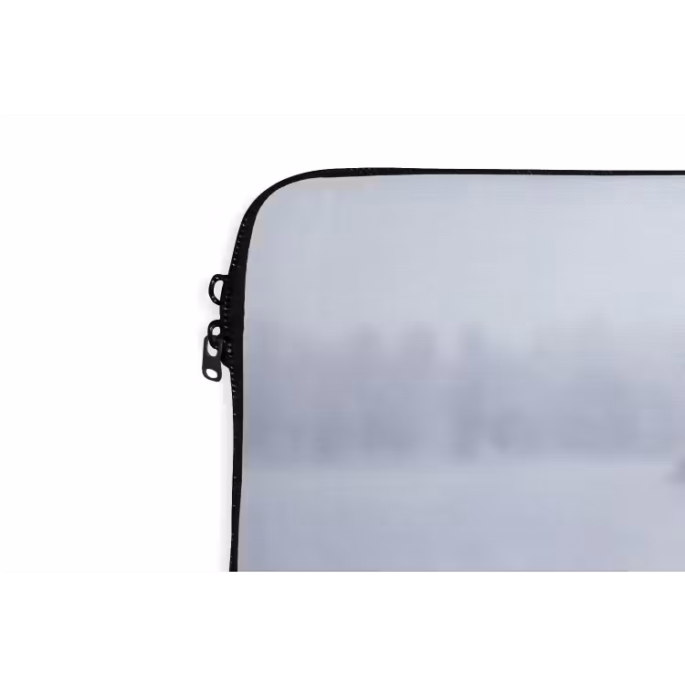 Laptophoes - Riet - Bevroren - Winter - Natuur — 6