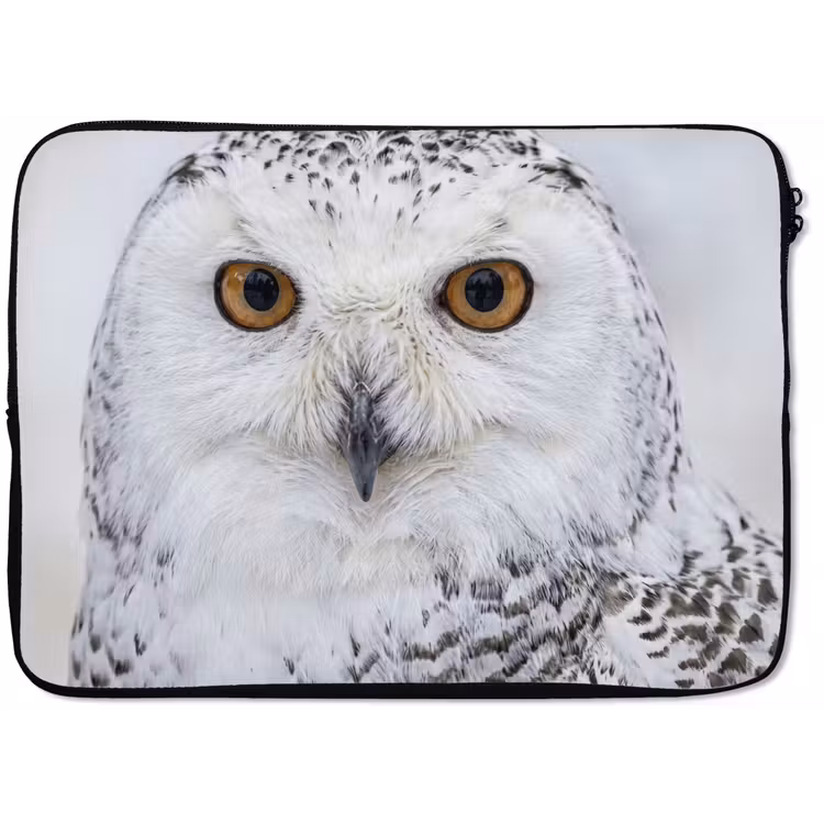 Laptophoes - Sneeuwuil - Oog - Wildlife - Wit — 1
